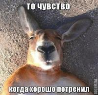 post-4386-0-27857400-1434782075_thumb.jpeg